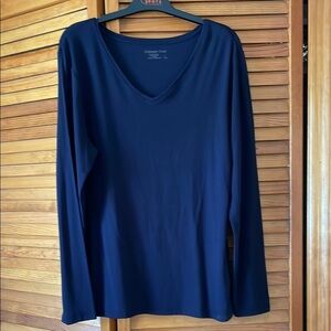 Blue Fitted Long Sleeve V-Neck T-Shirt